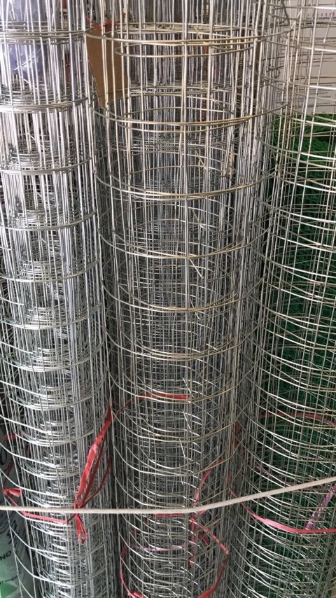 Wire Mesh