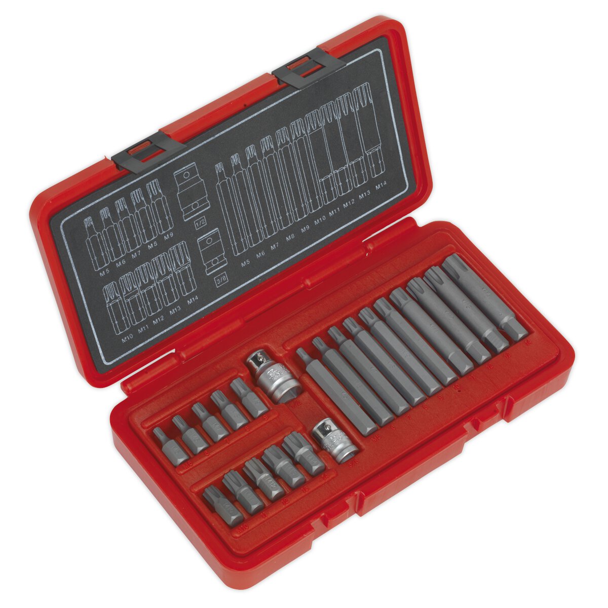 Ribe Bit Set 22pc 3/8" & 1/2"Sq Drive