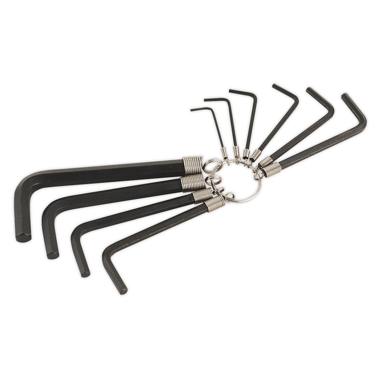 Hex Key Set on Ring 10pc Metric