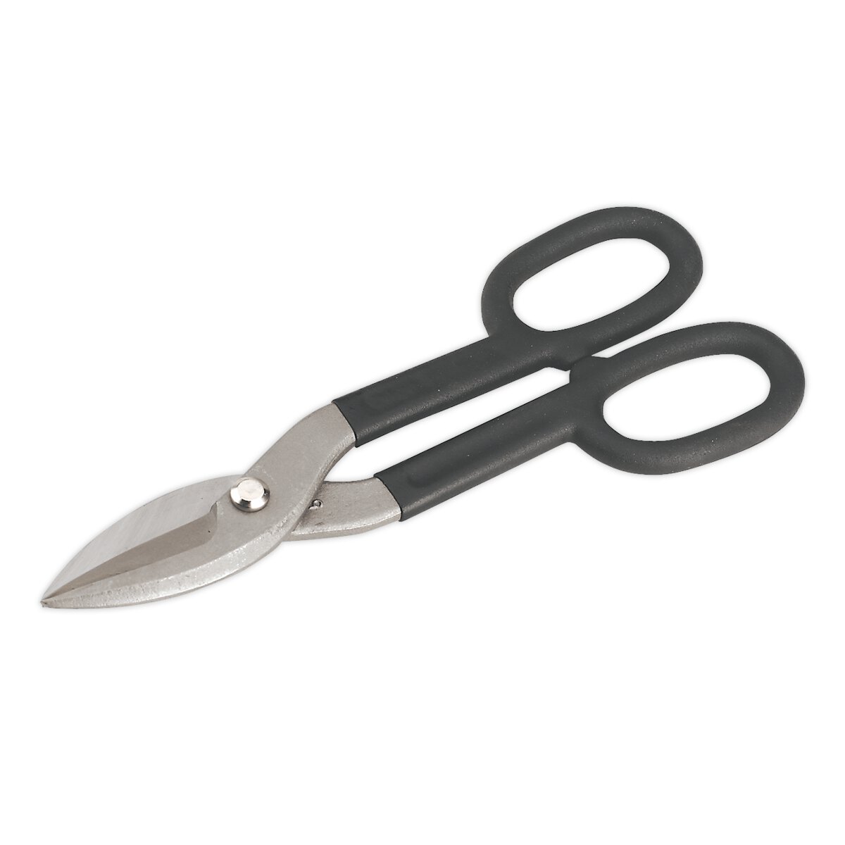 Tin Snips 260mm