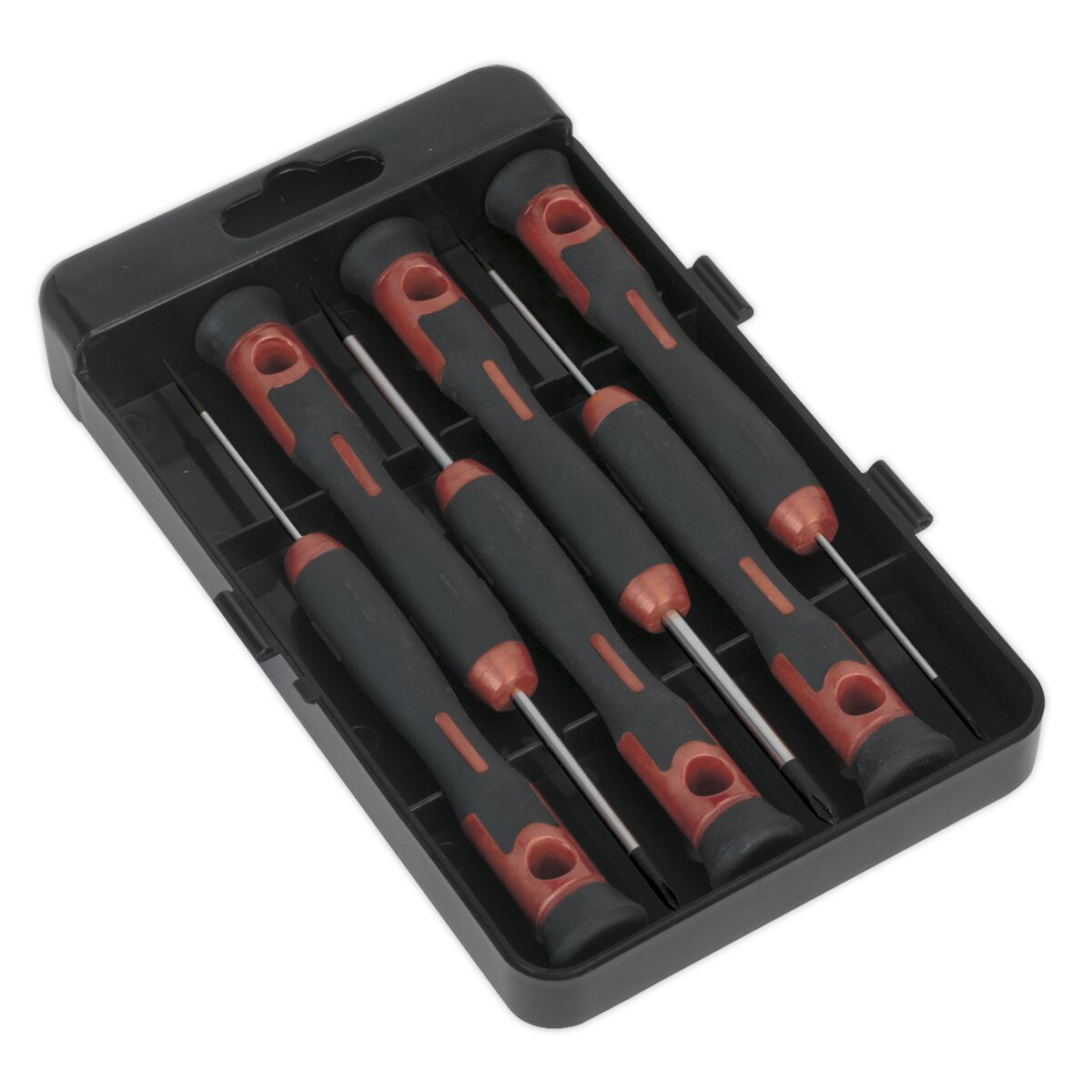 Precision Screwdriver Set 6pc