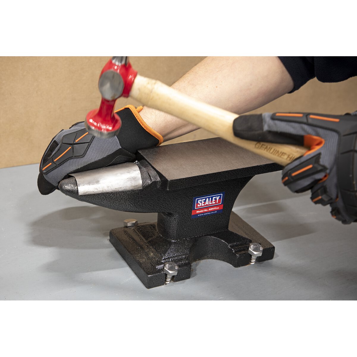 Anvil 11kg
