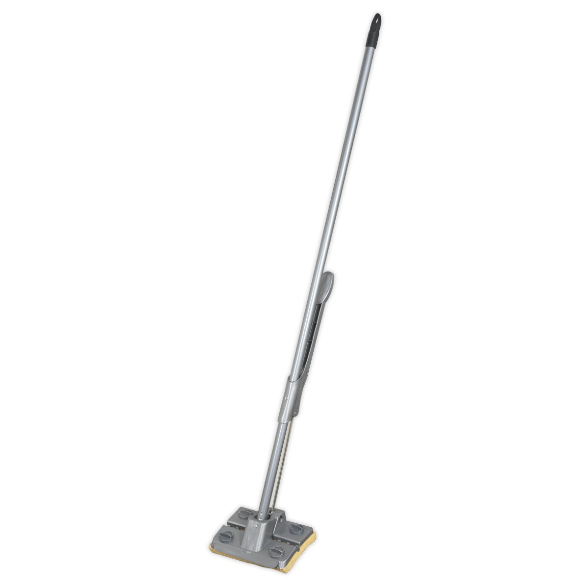 Squeeze Mop 8"(200mm)