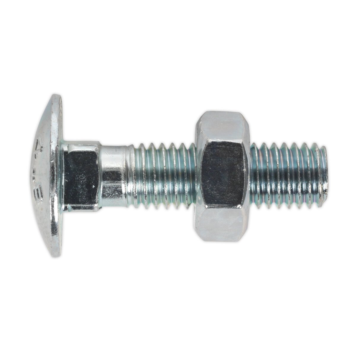 Coach Bolt & Nut M10 x 40mm Zinc DIN 603 Pack of 50