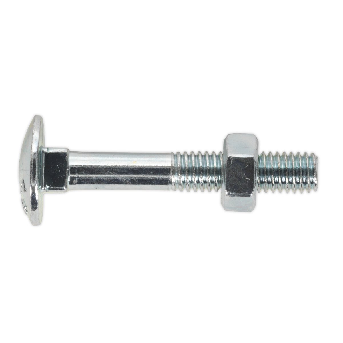 Coach Bolt & Nut M6 x 40mm Zinc DIN 603 Pack of 100
