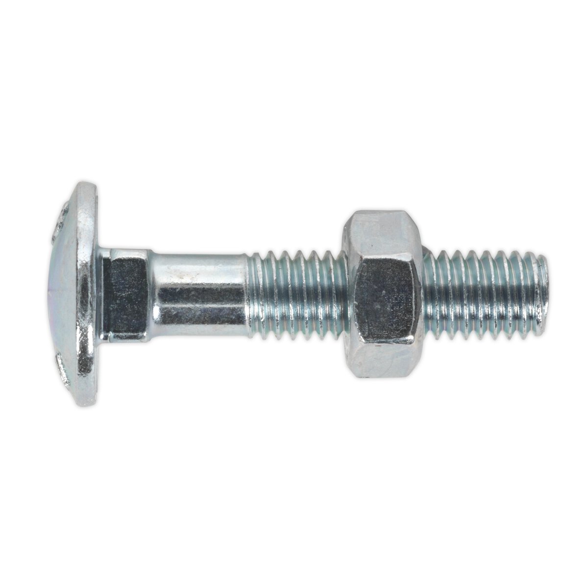 Coach Bolt & Nut M8 x 40mm Zinc DIN 603 Pack of 50