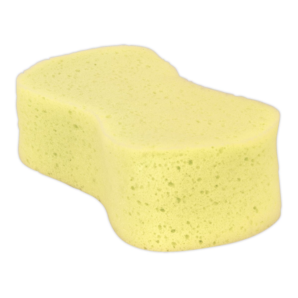 Large Sponge