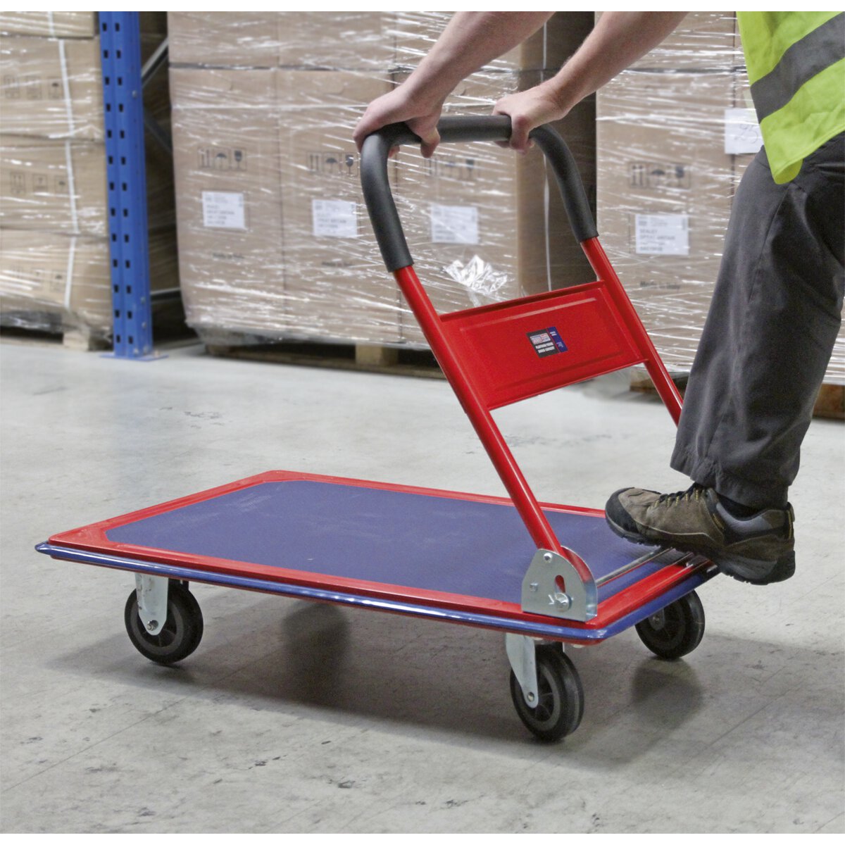 Platform Truck 300kg Capacity