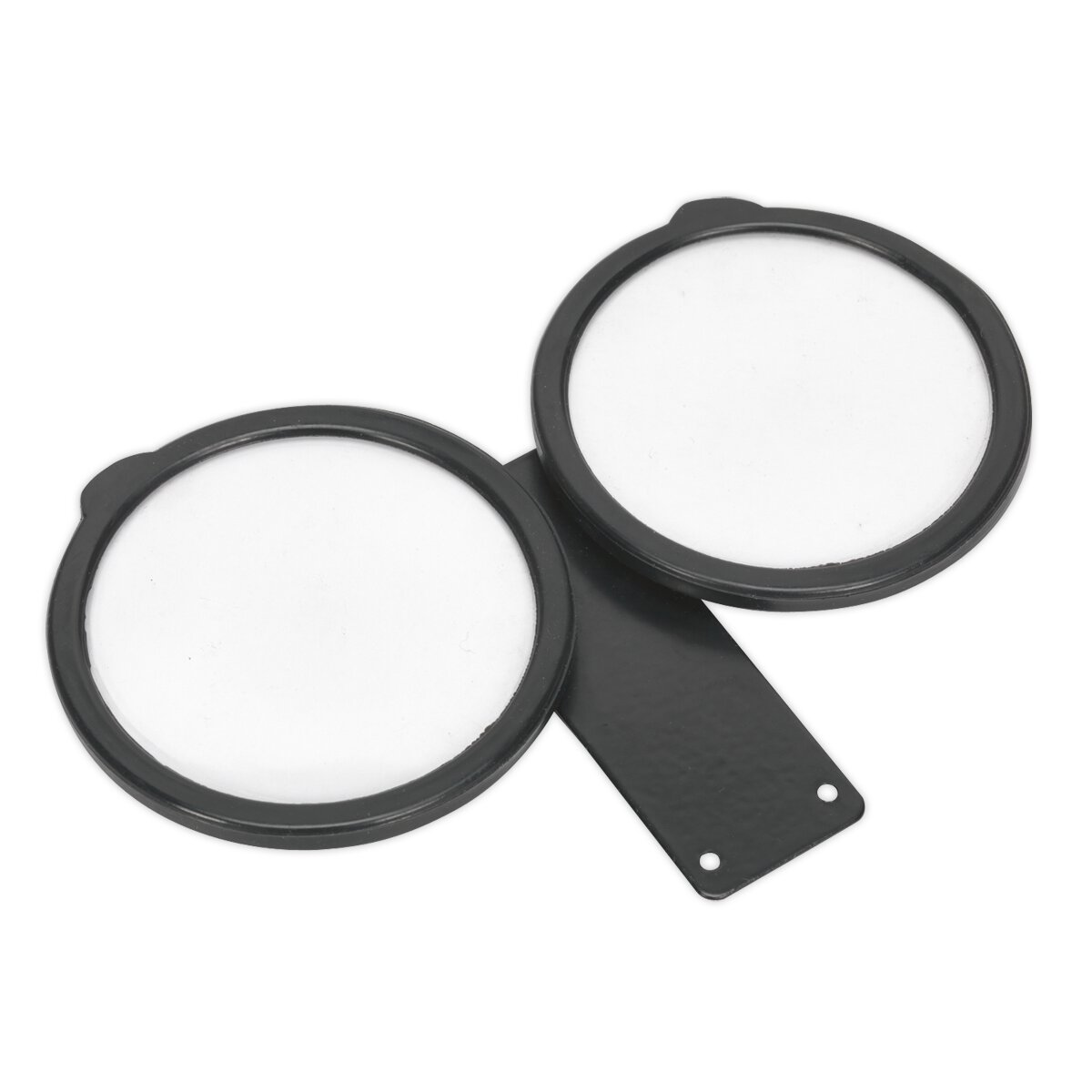 Twin Licence Frame