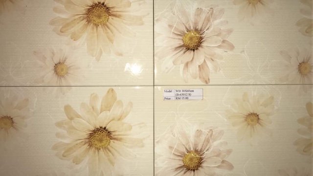WH 30x60cm