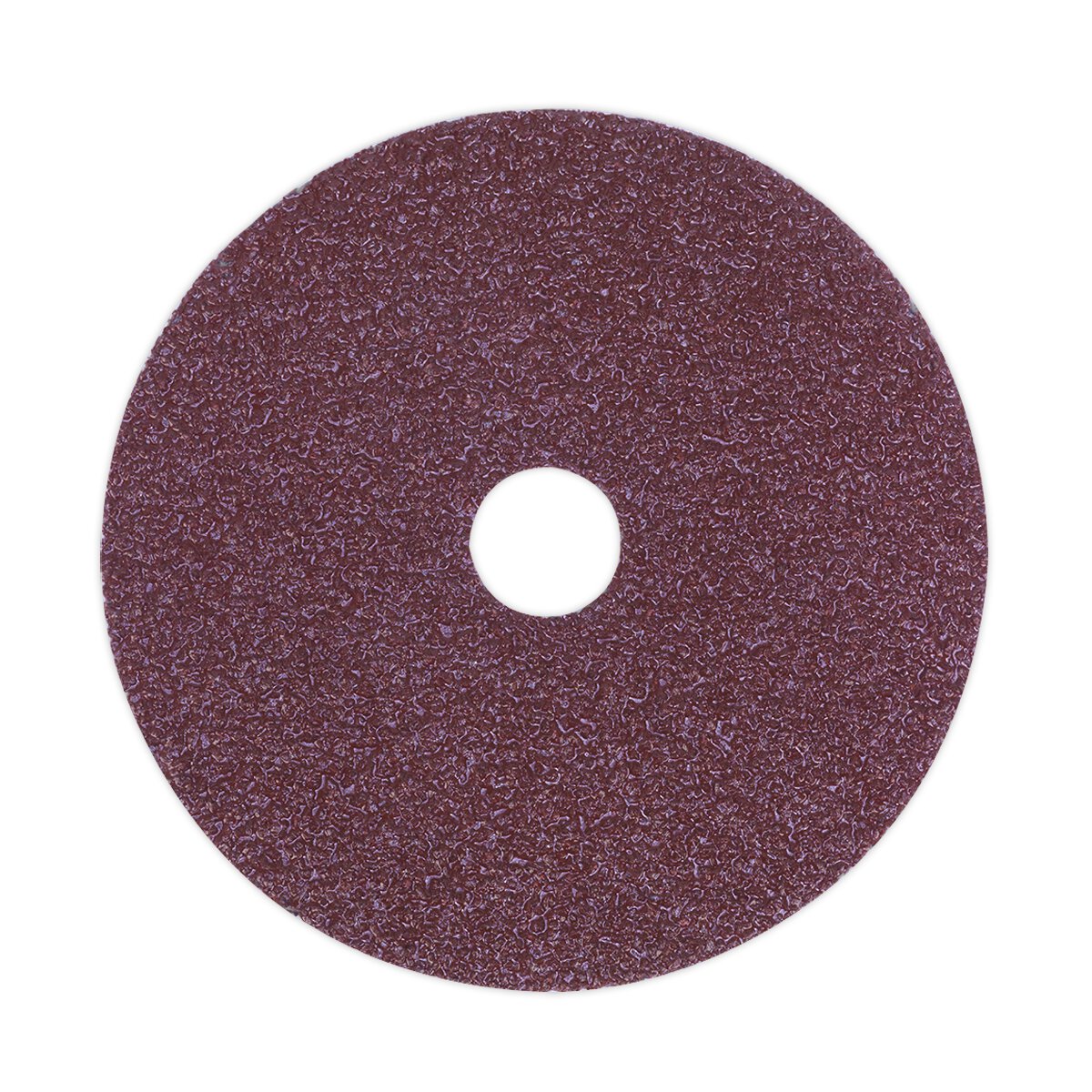 Sanding Disc Fibre Backed Ø100mm 24Grit Pack of 25