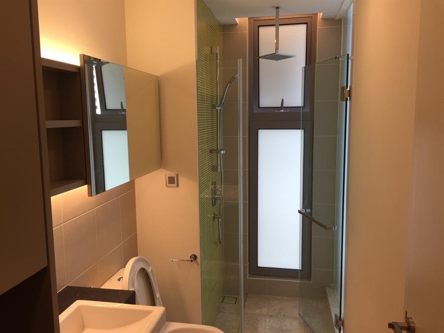 Shower Screen