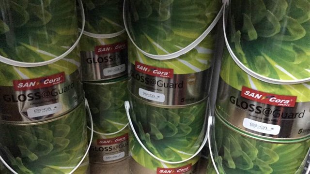 San Cora Paint Gloss Guard Exterior High Gloss Paint