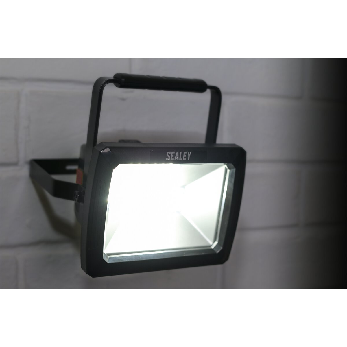 Rechargeable Portable Floodlight 10W SMD LED