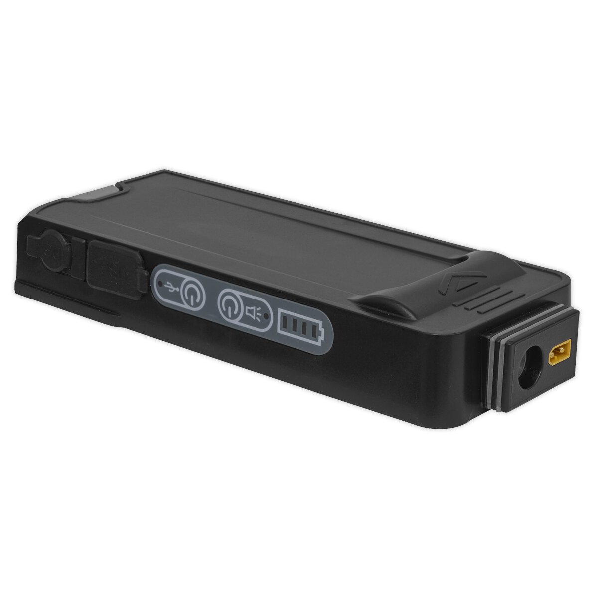 Floodlight/Power Bank with Wireless Speakers 20W COB Rechargeable