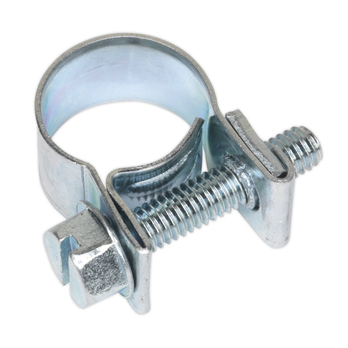 Mini Hose Clip Ø10-12mm Pack of 30