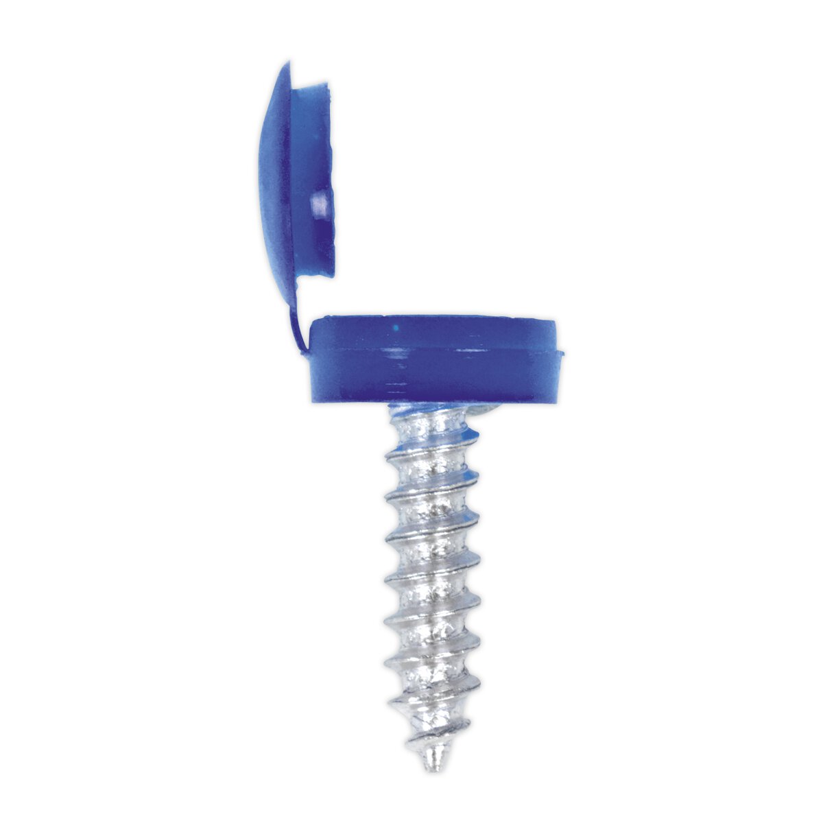 Numberplate Screw & Flip Cap 4.2 x 19mm Blue Pack of 50