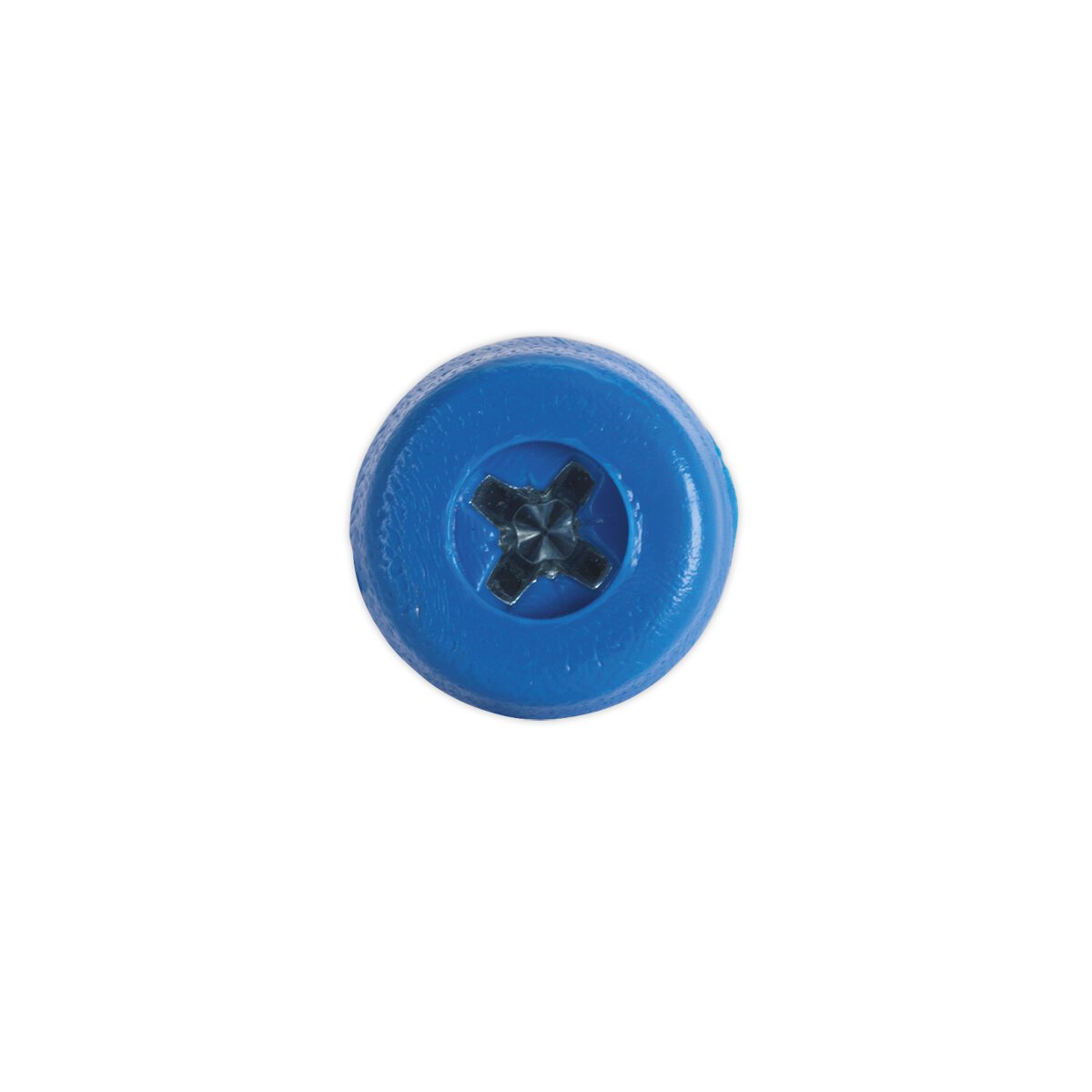 Numberplate Screw Plastic Enclosed Head 4.8 x 18mm Blue Pack of 50