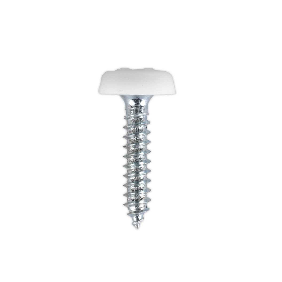 Numberplate Screw Plastic Enclosed Head 4.8 x 24mm White Pack of 50