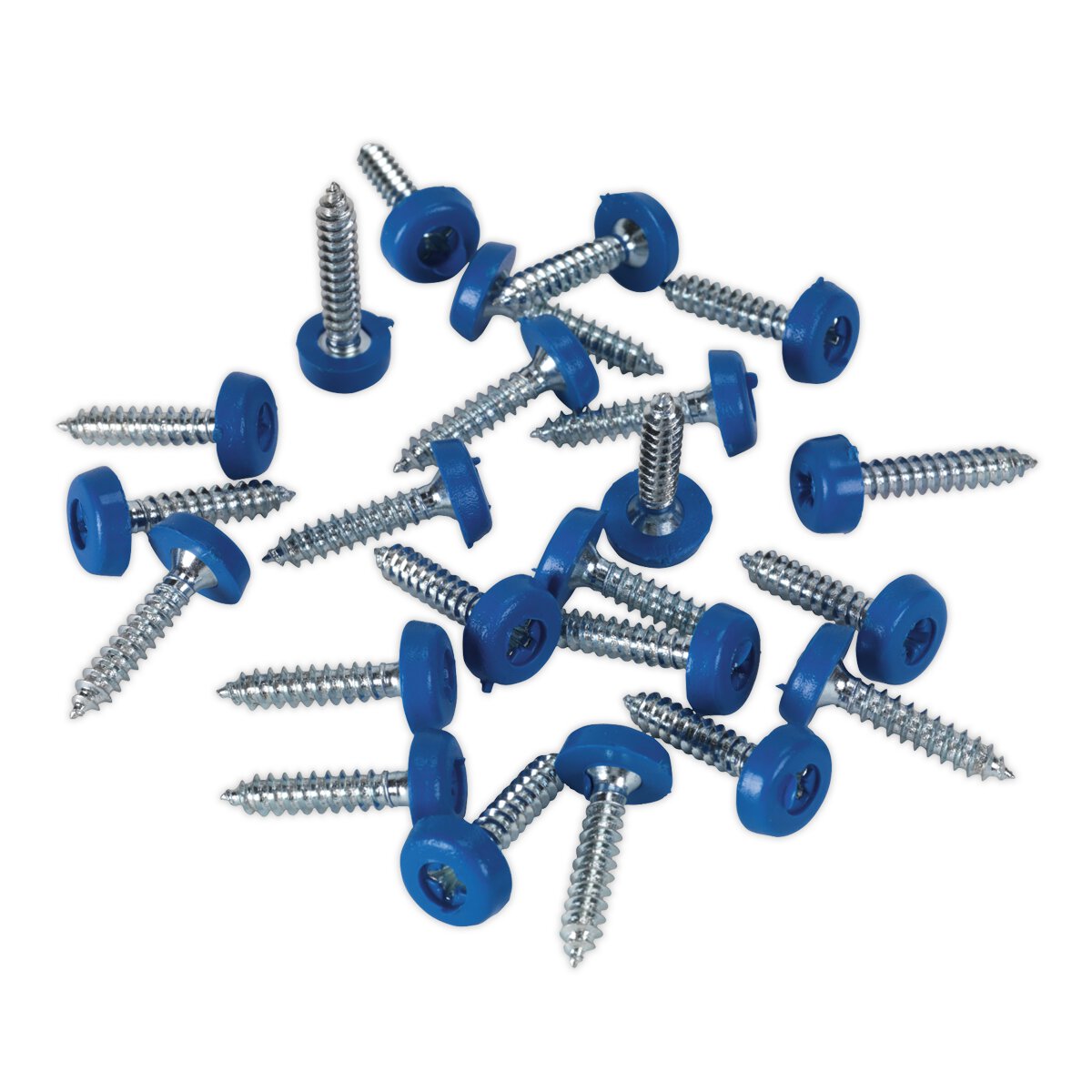 Numberplate Screw Plastic Enclosed Head 4.8 x 24mm Blue Pack of 50