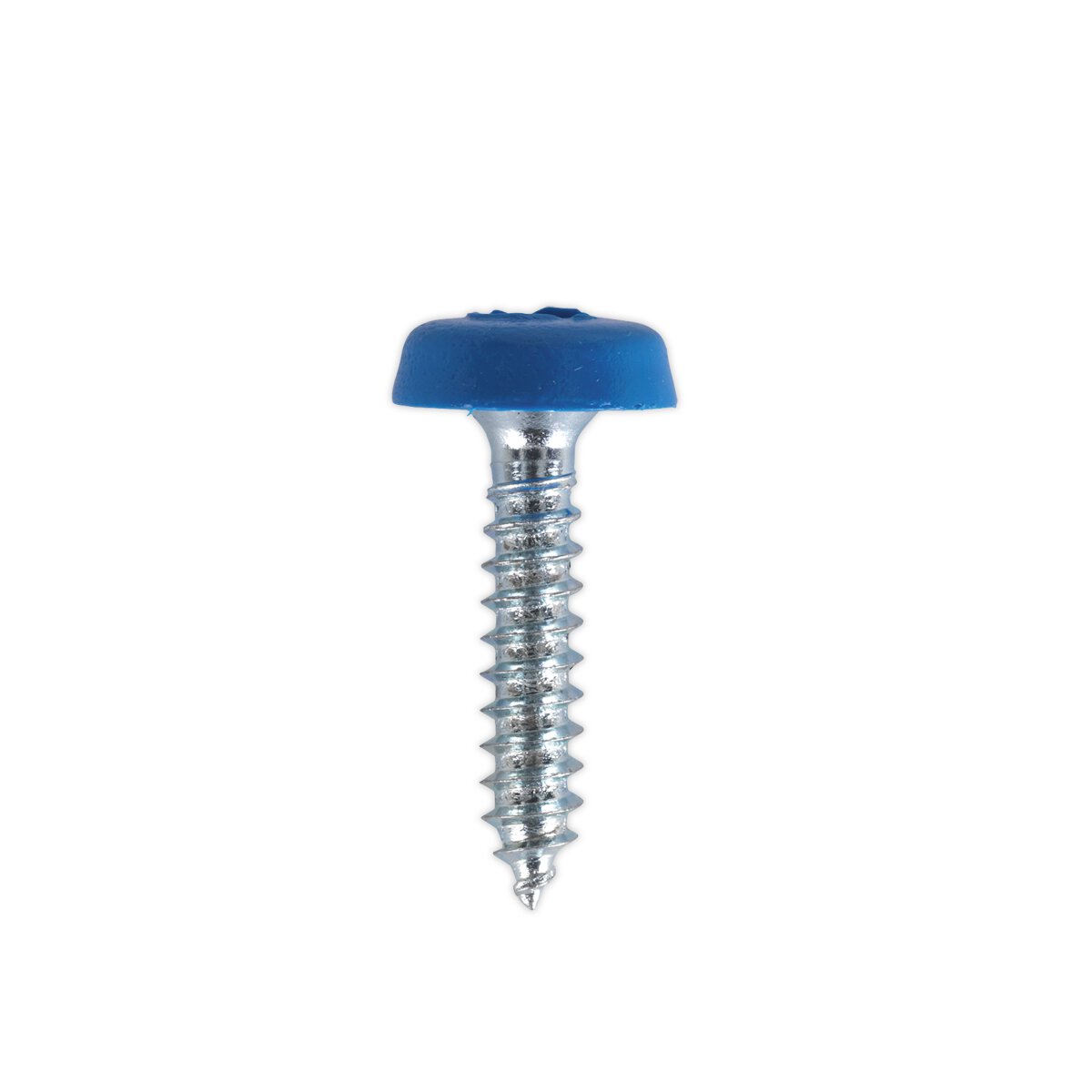 Numberplate Screw Plastic Enclosed Head 4.8 x 24mm Blue Pack of 50