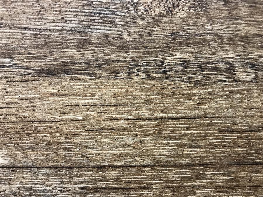 Roman Porcelain Tiles