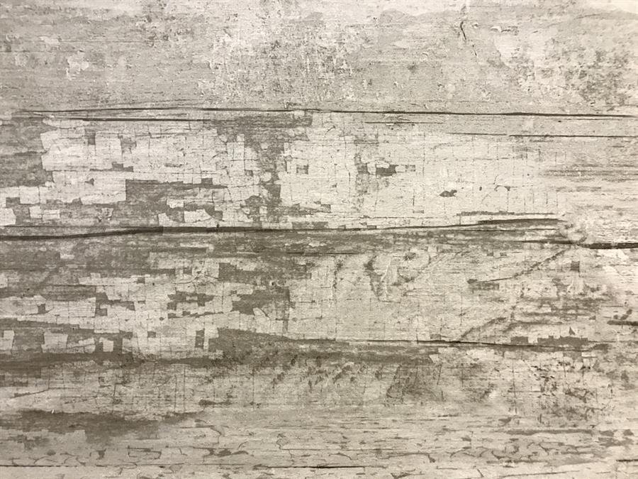 Roman Porcelain Tiles