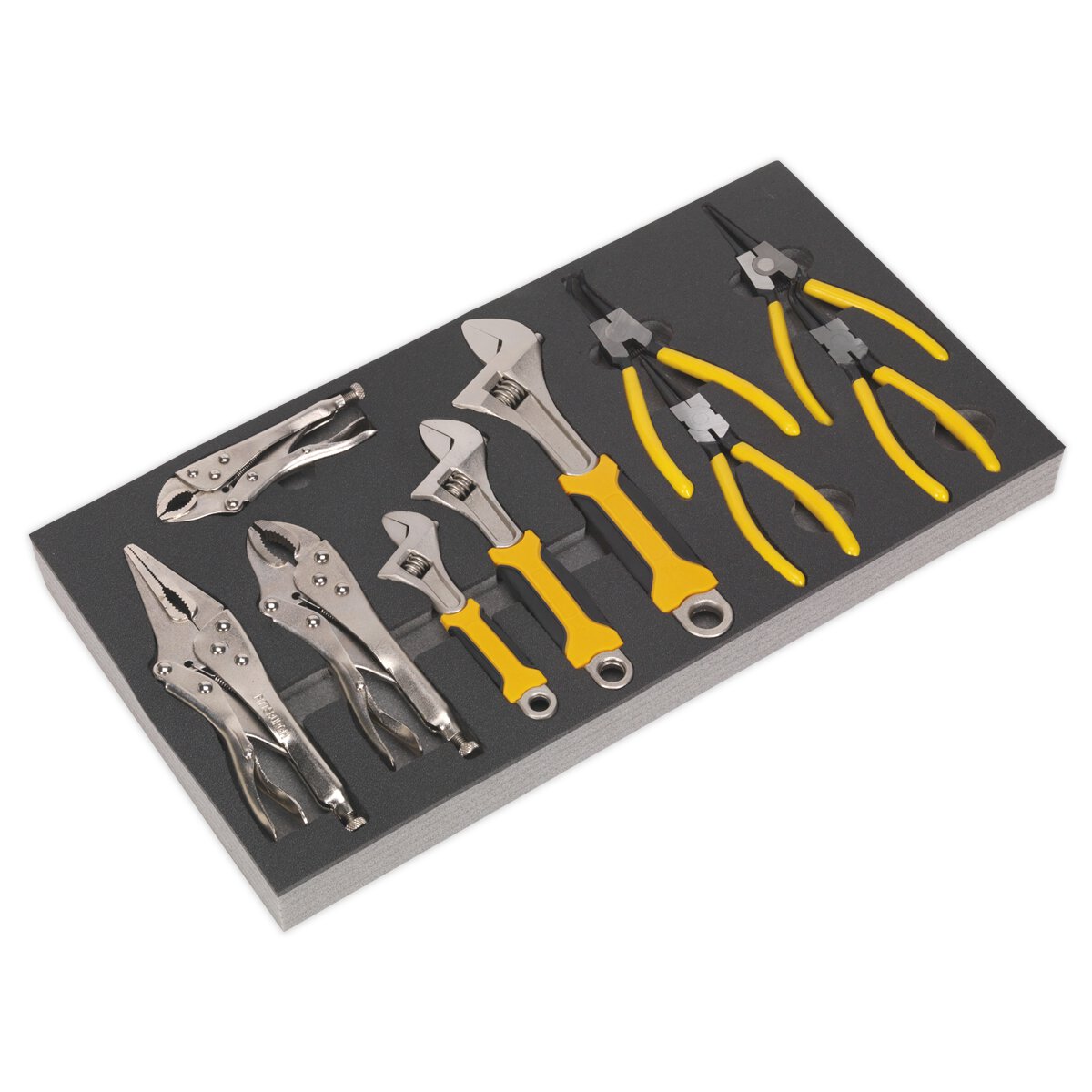 Tool Tray with Adjustable Wrench & Pliers Set 10pc