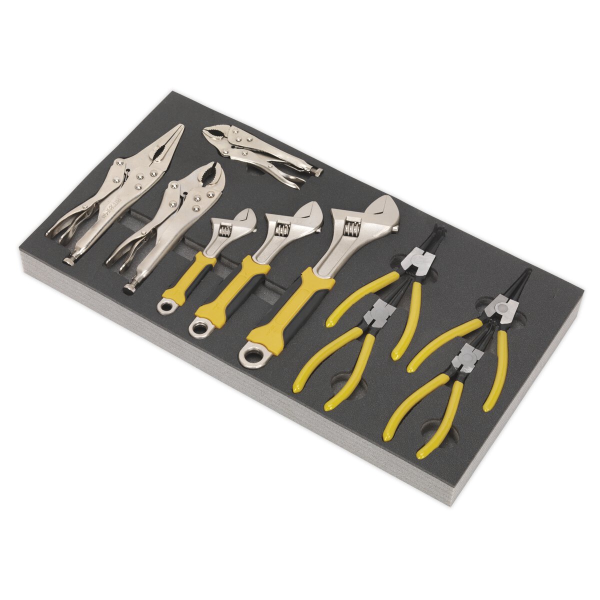 Tool Tray with Adjustable Wrench & Pliers Set 10pc