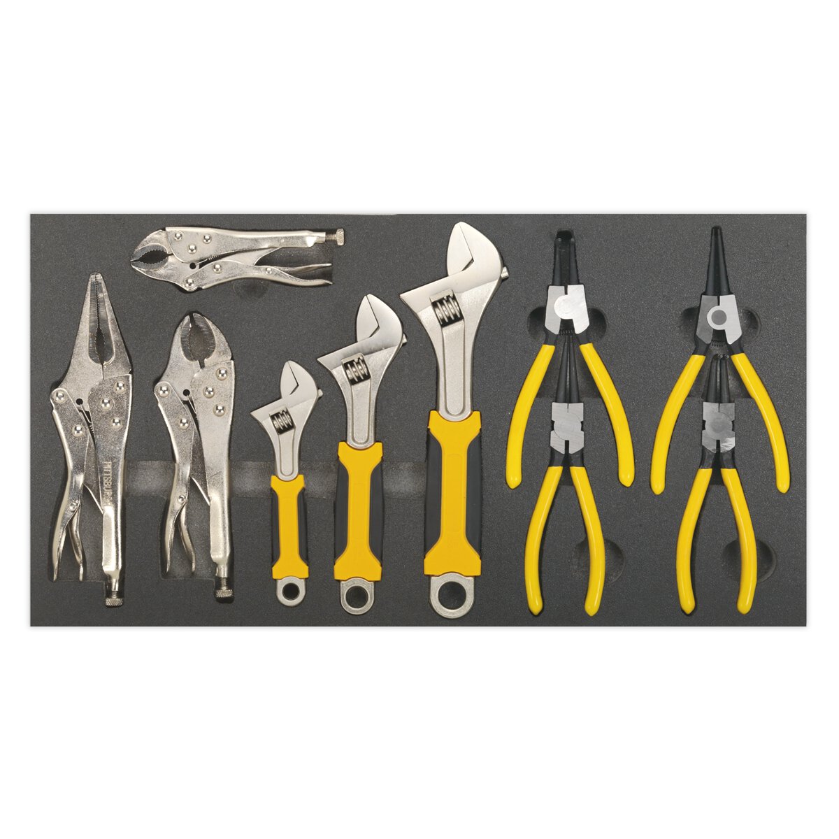 Tool Tray with Adjustable Wrench & Pliers Set 10pc