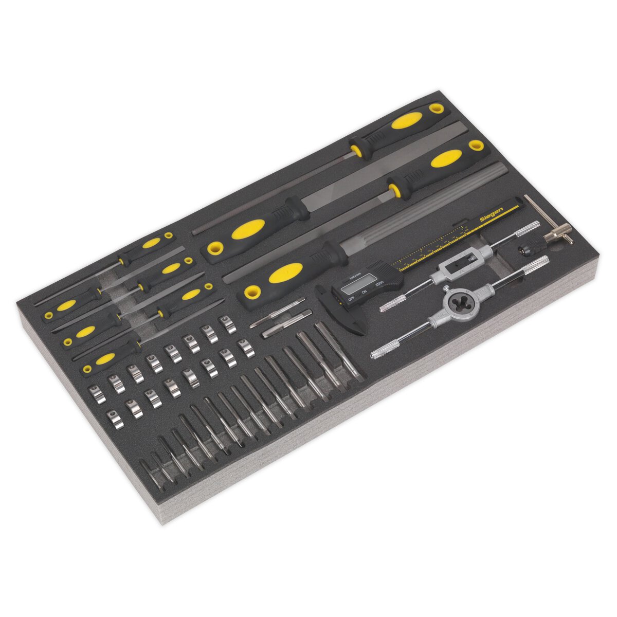 Tool Tray with Tap & Die, File & Caliper Set 48pc