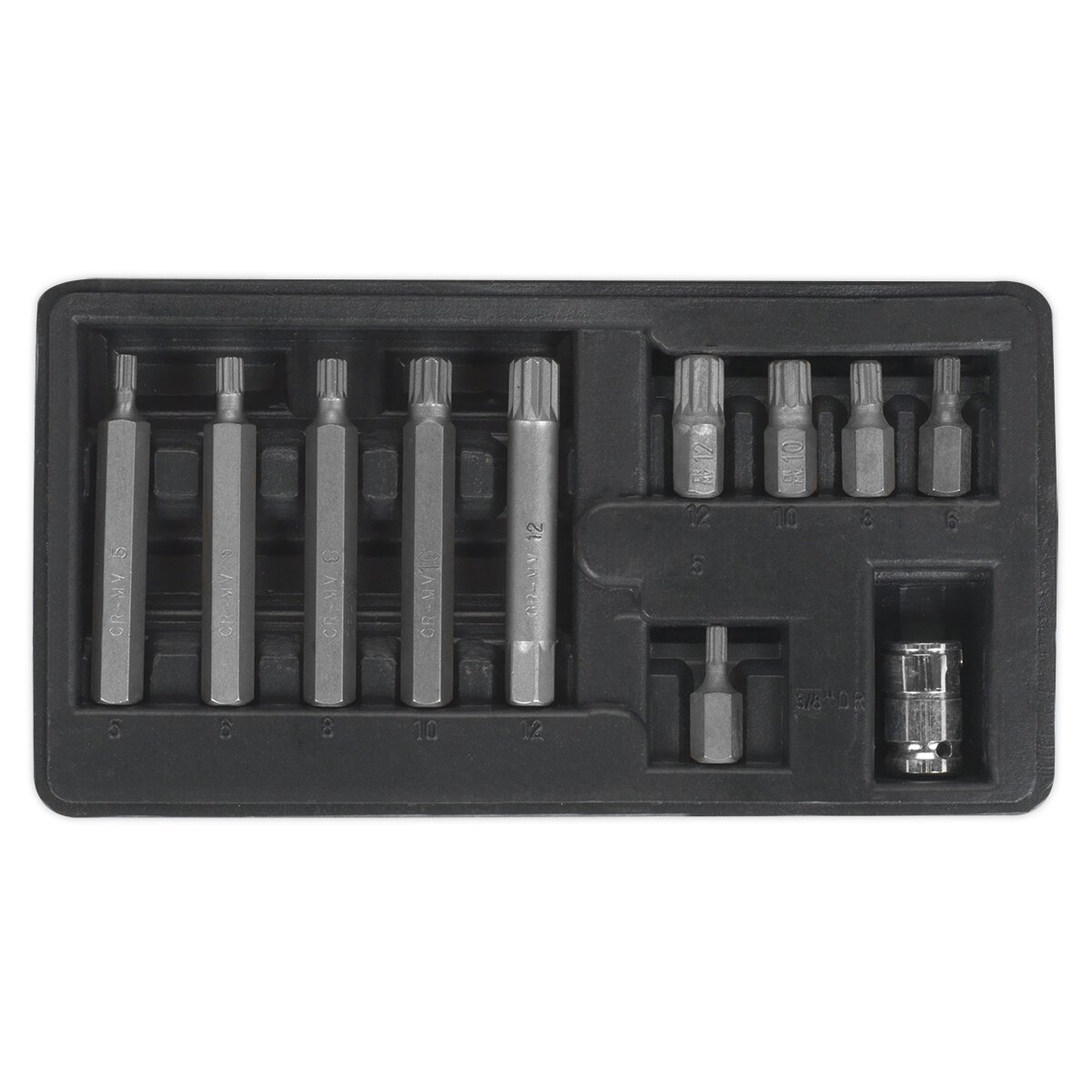Spline Bit & Holder Set 11pc - 3/8"Sq Drive