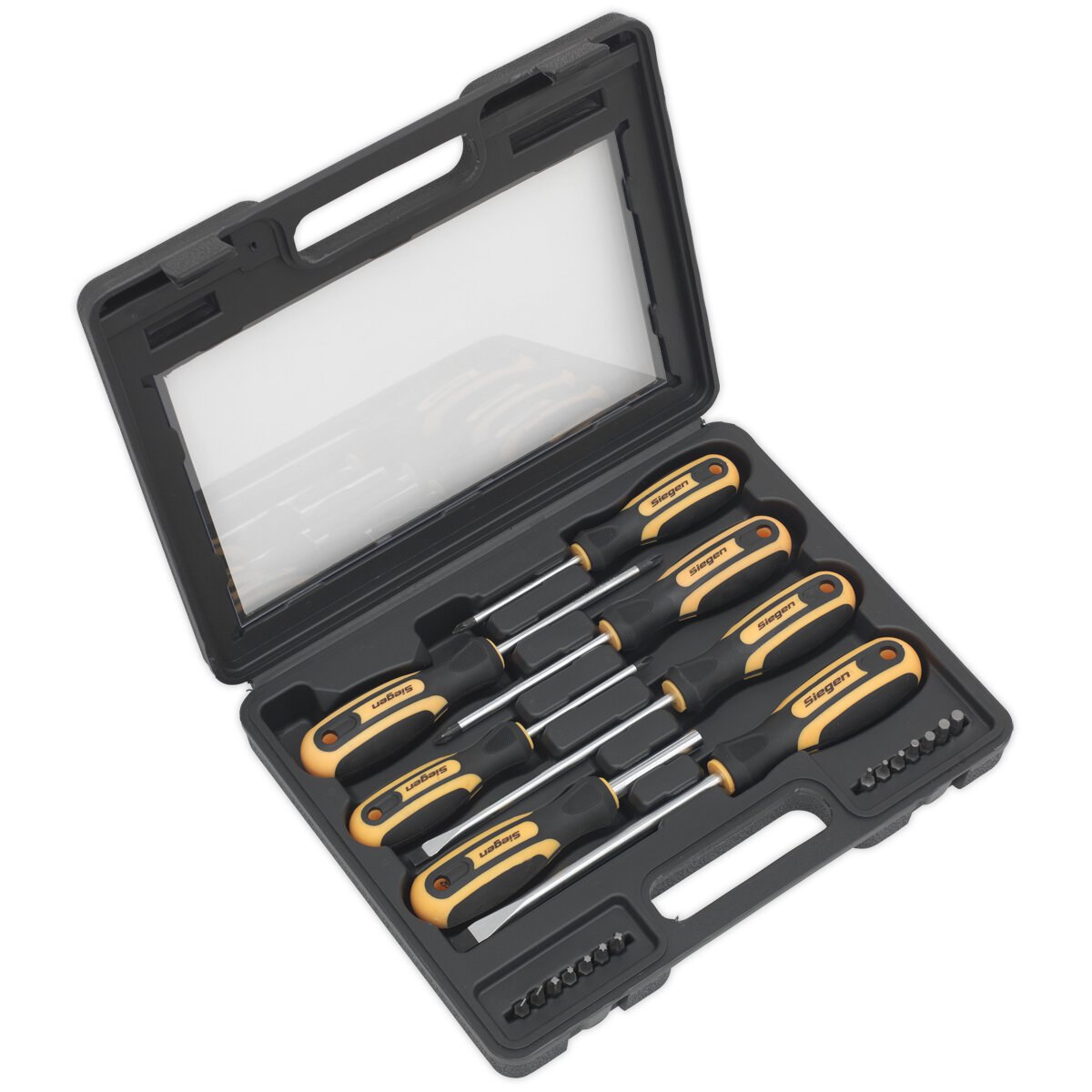 Screwdriver Set 21pc with Storage Case
