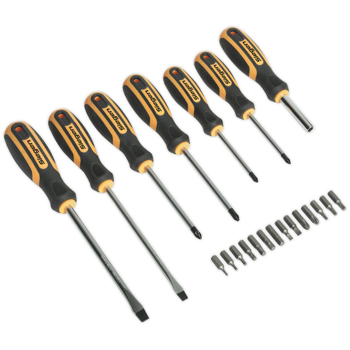 Screwdriver Set 21pc with Storage Case