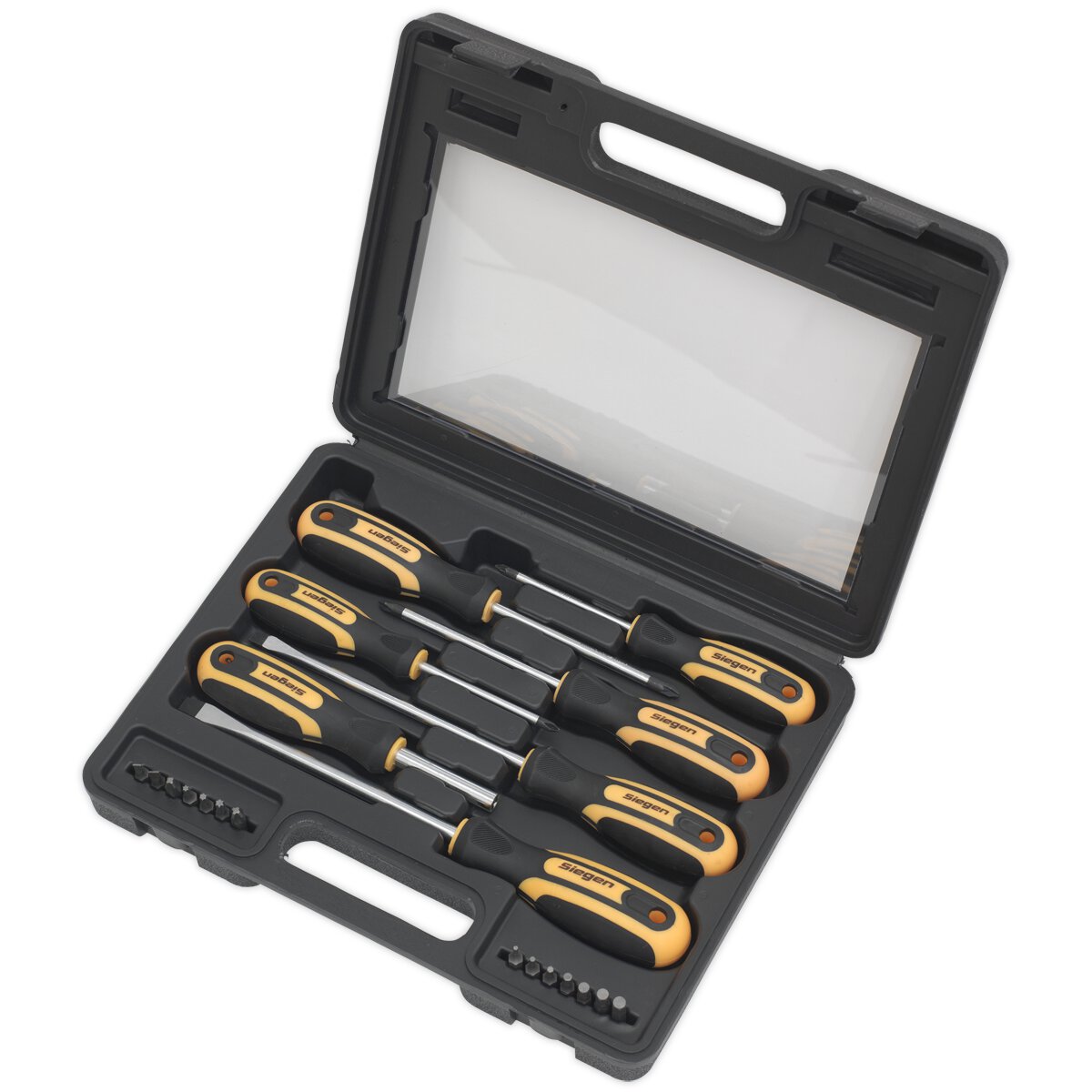 Screwdriver Set 21pc with Storage Case