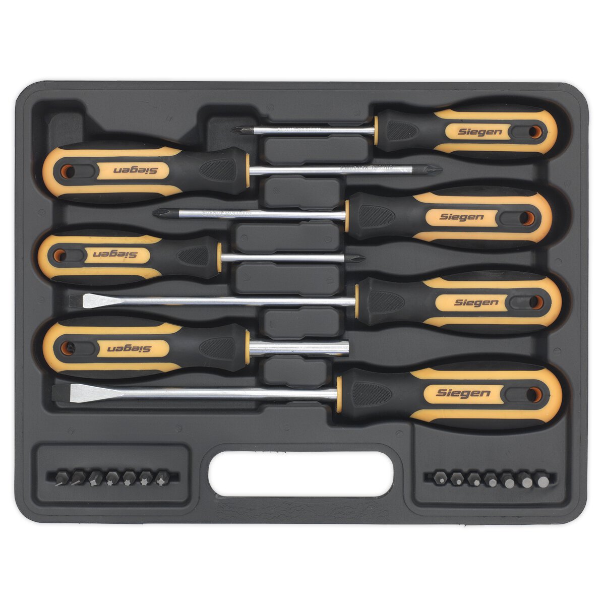 Screwdriver Set 21pc with Storage Case