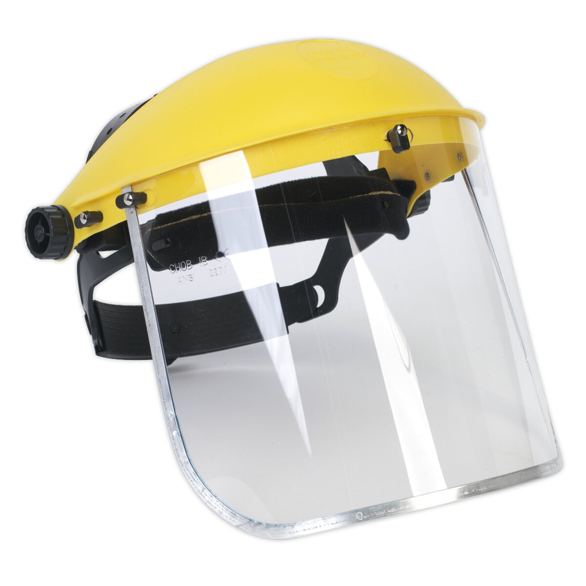 Brow Guard & Full Face Shield