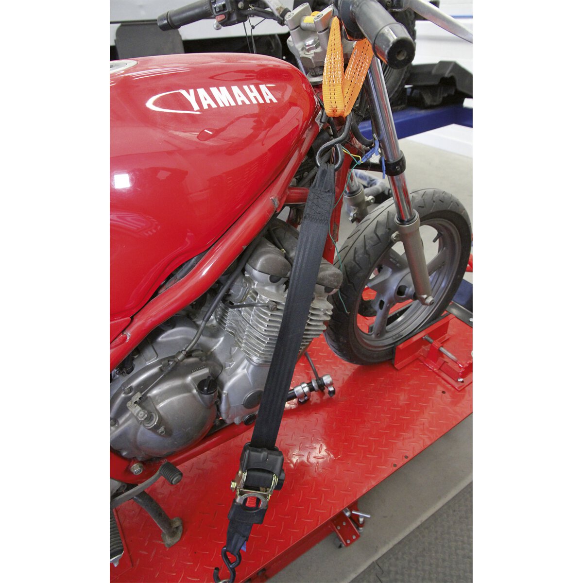 Tie Down Securing Loop - Pair