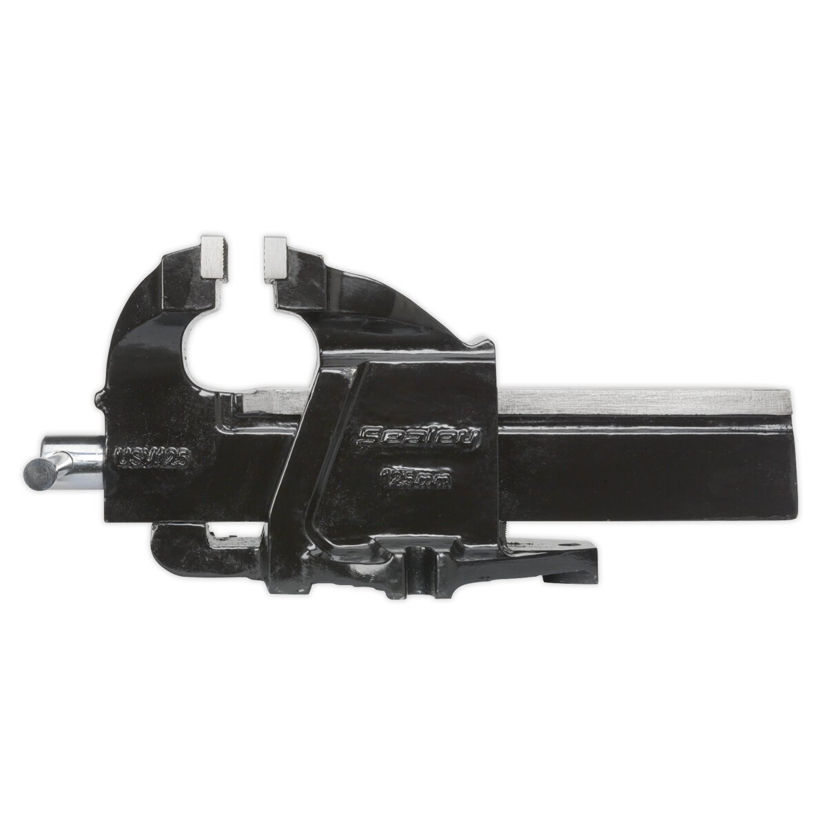 Professional Mechanic's Vice 125mm SG Iron