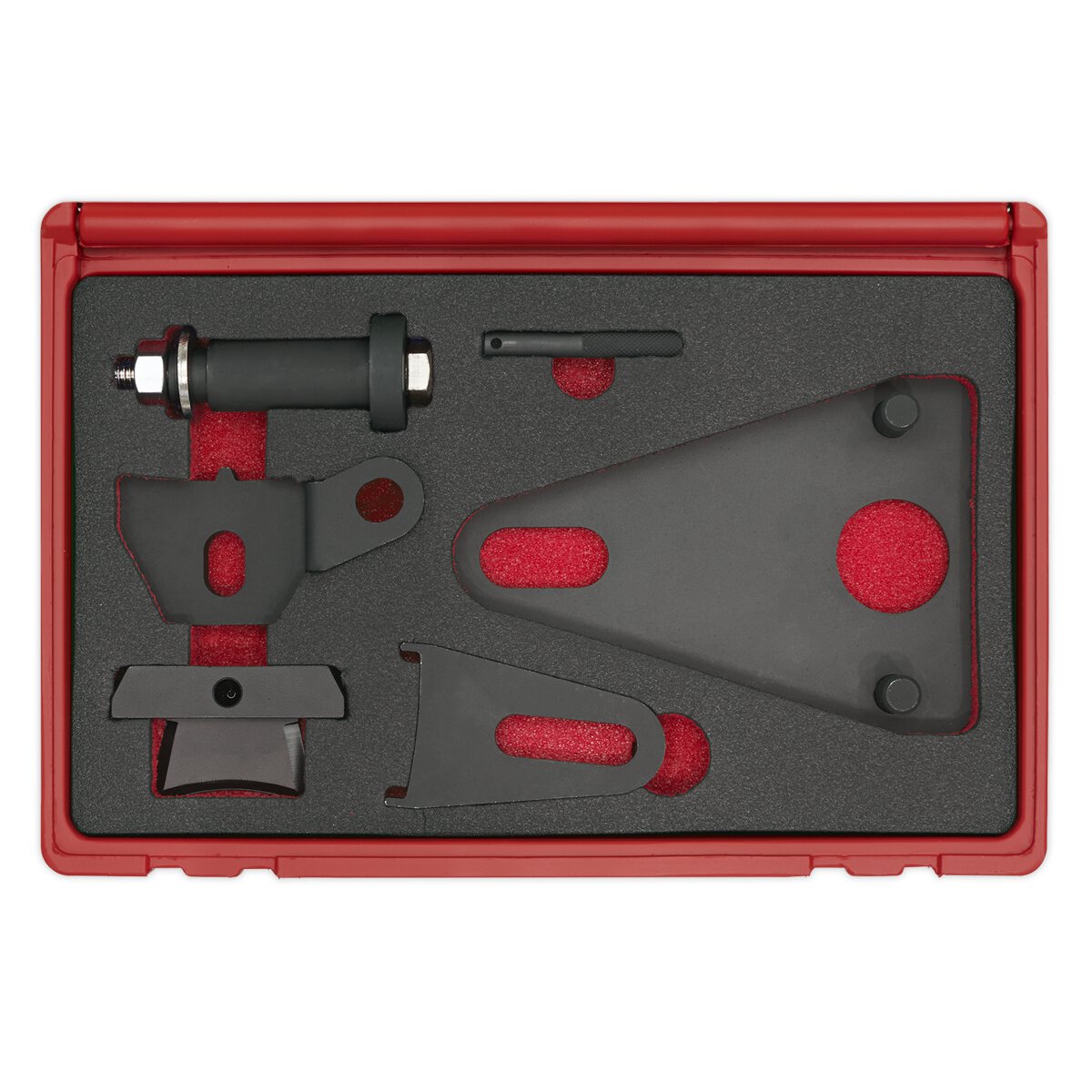 Front Pulley & Flywheel Locking Tool Set