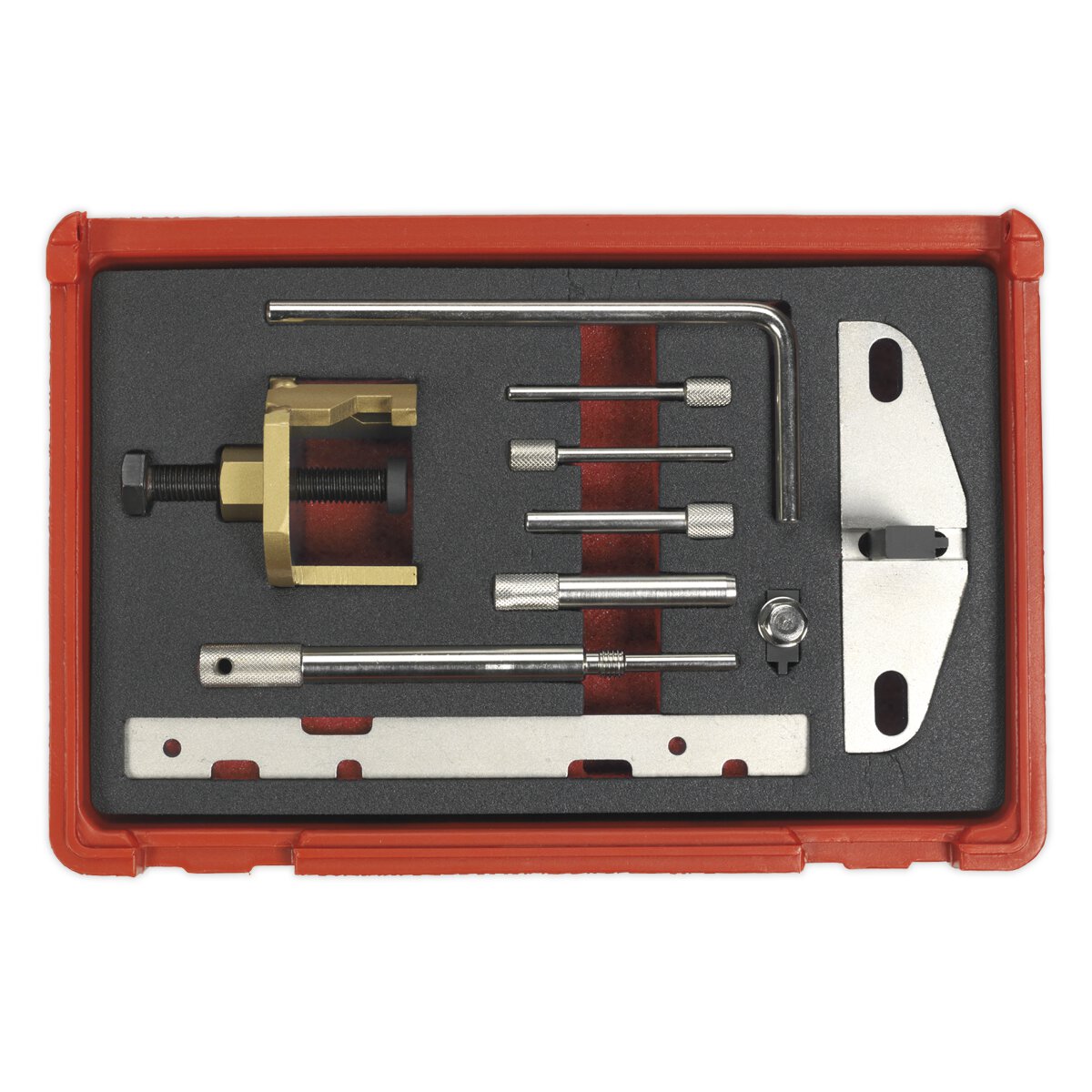 Diesel Engine Timing Tool Kit - Ford, PSA - Belt Drive