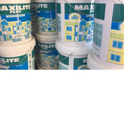 Maxilite Plus Paint
