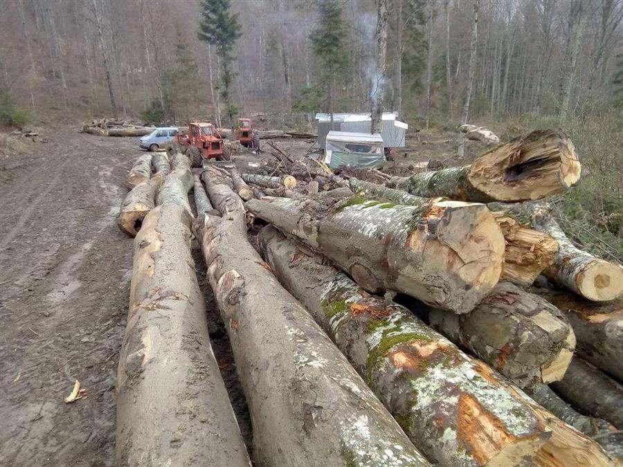Wood Posts / Beams / Logs