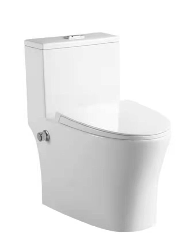 WALDEN WC c/w Build in Bidet Complete Set (S-250mm)- white