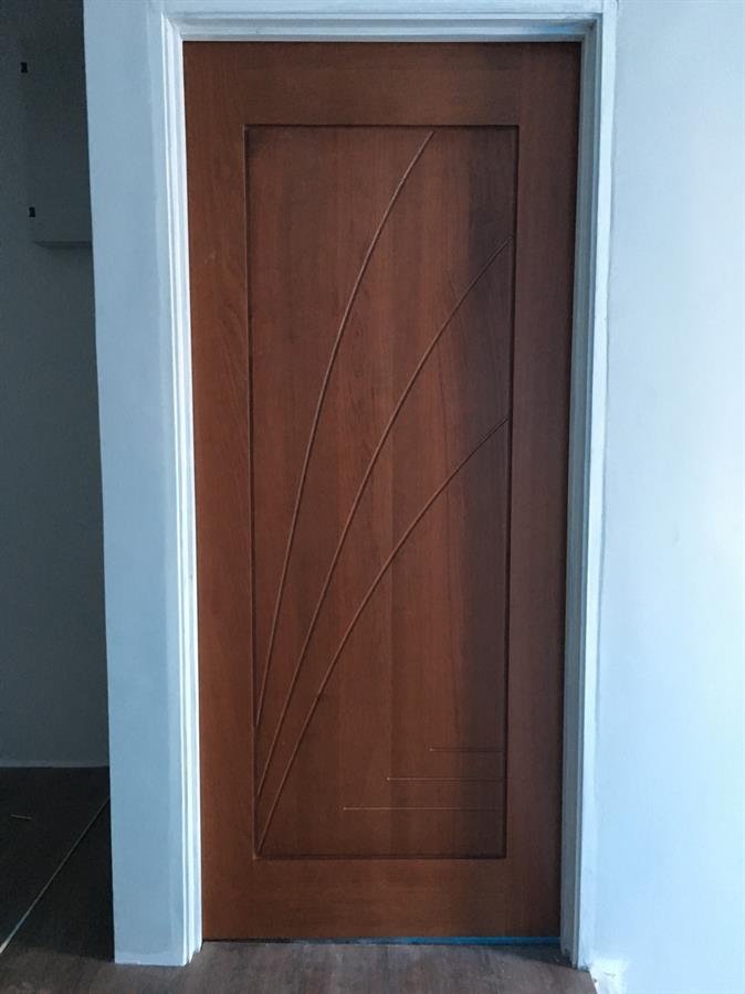Solid Panel Design Door