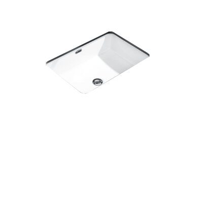 Basin with Waste