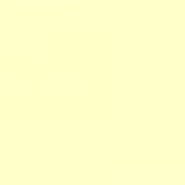 Zinxer paint Daisy Petal [ AP105-1 ]