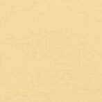 Zinxer paint Sunstraw [AP149-2]