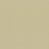 Zinxer paint Beige Essence [AP28-3]