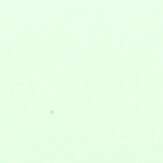 Zinxer paint Green Touch [AP68-1]